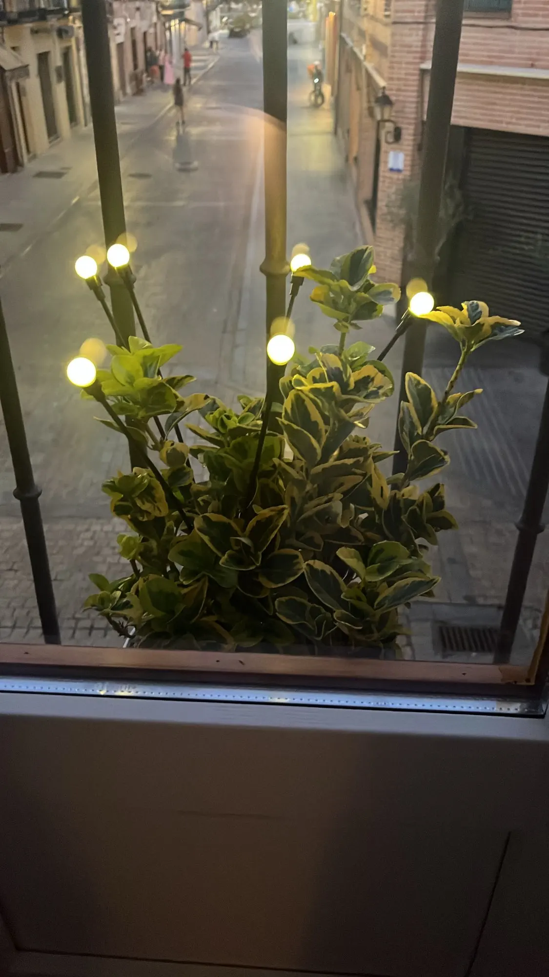 10/8/6 LED Solar Firefly Light Outdoor Waterproof Wedding Party Ornament Garden Lawn Paths Decoration Solar Garland Lights photo review