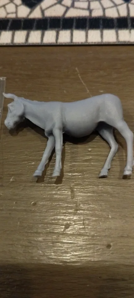 Buyer photo of this resin kit