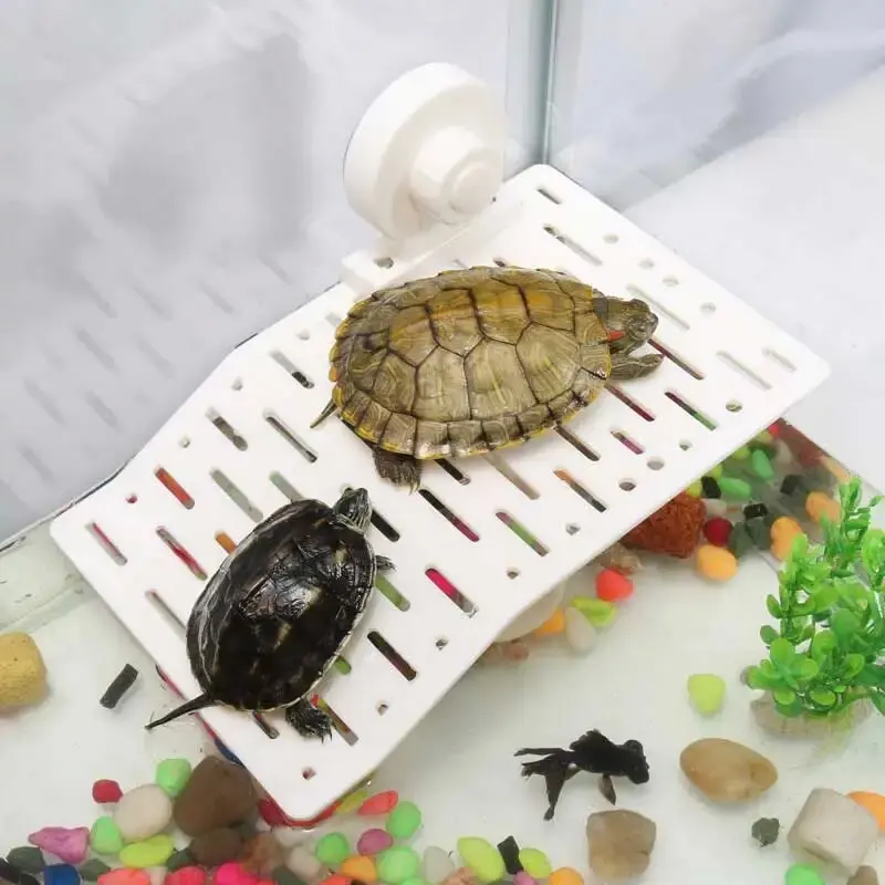 S/M Turtle Basking Platform Aquarium Climb Shelf with Suction Cup Tortoise Resting Terrace for Amphibians Float Decoration