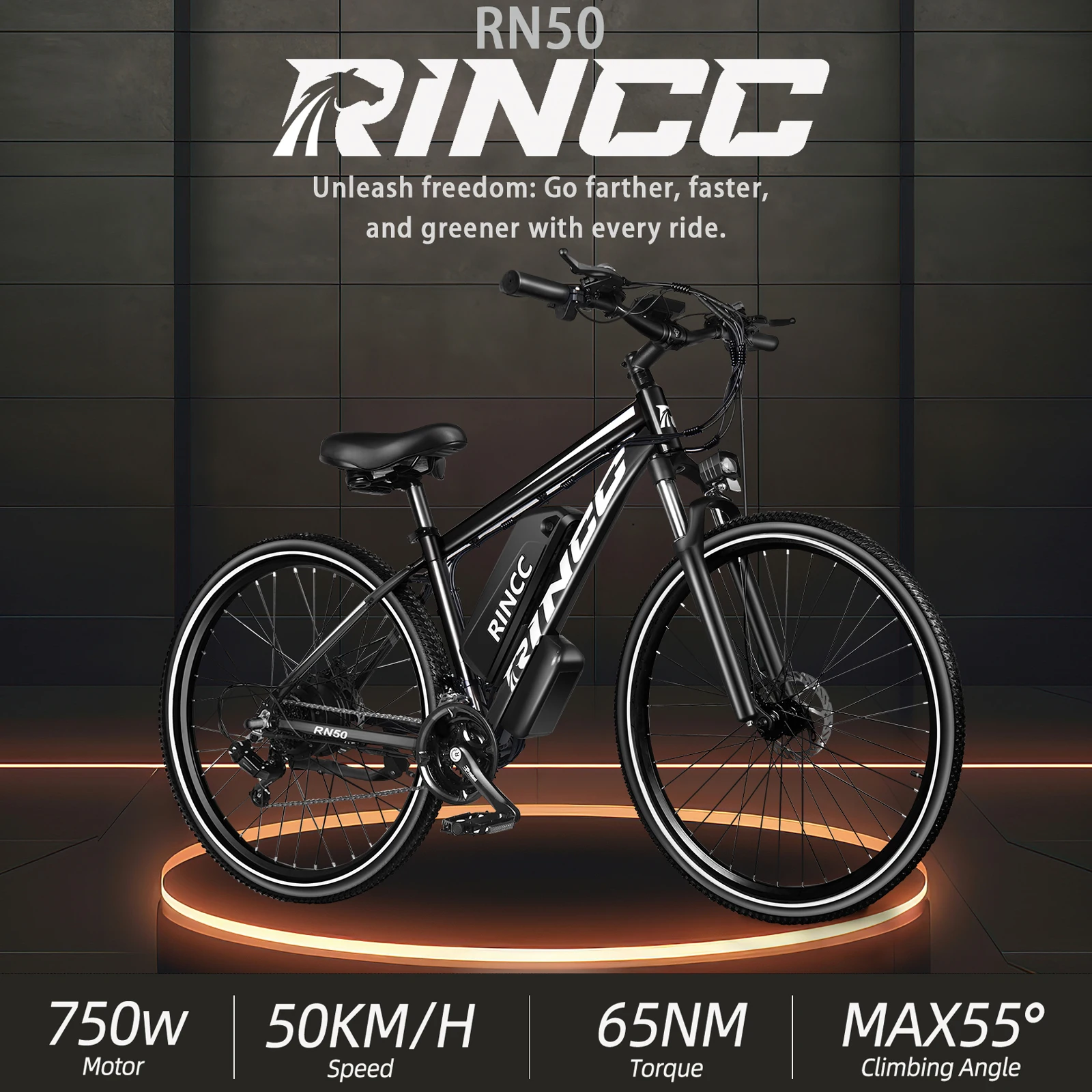 RINCC RN50 29-Zoll E-Bike 750W 48V 15AH 65Nm 21-Gang 50-60km Reine Reichweite / 80-100km Unterstützte Reichweite 30 °   Klettern