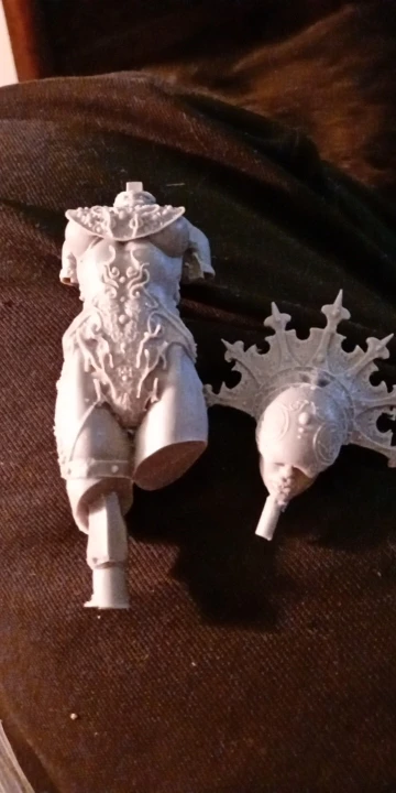 Buyer photo of this resin kit