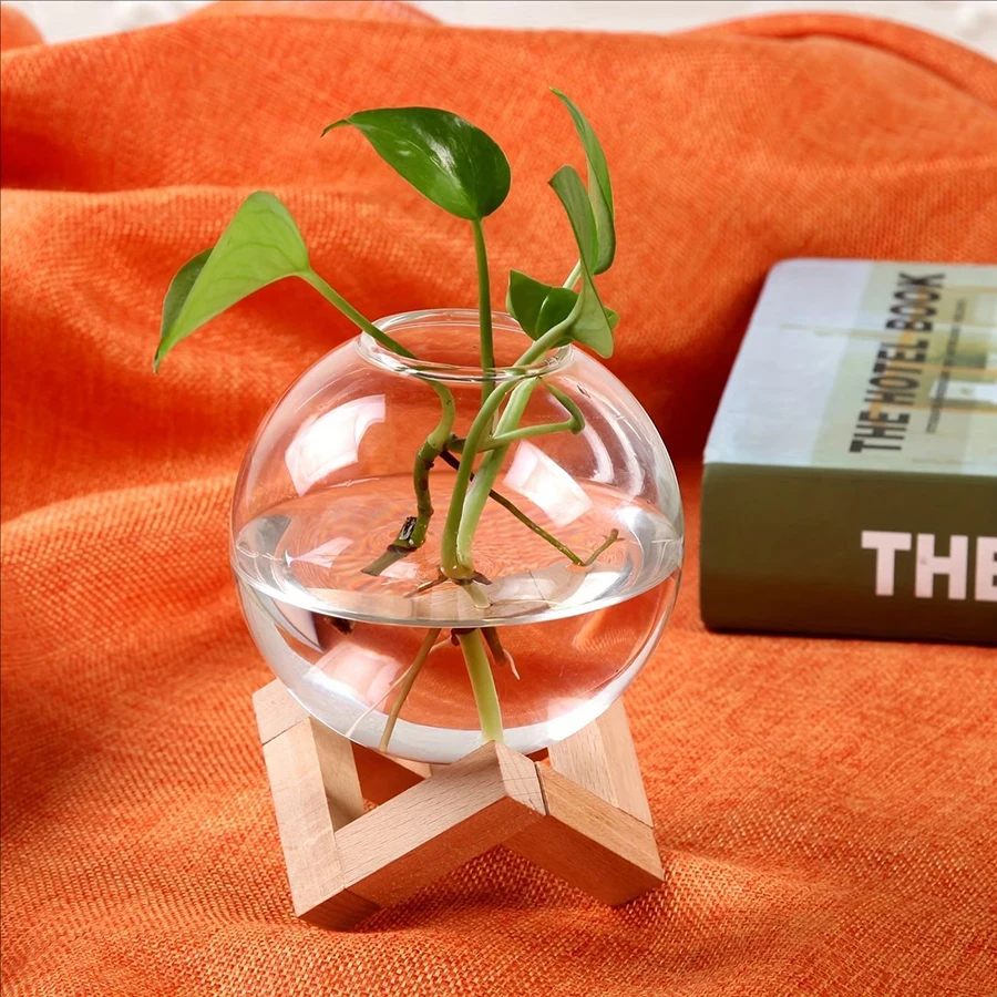 Aloe Vera Pot - Plant Cultivation Station with a Spherical