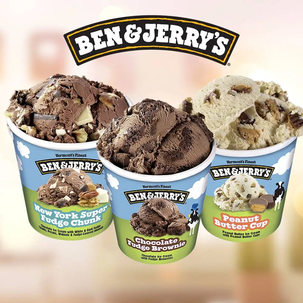 Pint of Ben & Jerry's ice cream 473mL 3 bundles (Peanutbuttercup  + NewYorkSuperFudgeChunk + ChunkyMonkey)