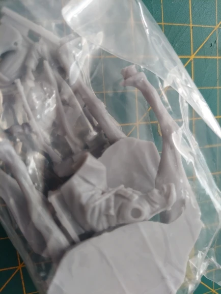 Buyer photo of this resin kit