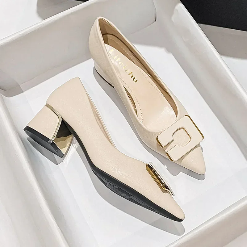 Plus Size Shoes for Women Chunky Heels Pumps Spring New OL Fashion Pointed Toe Leather High Heels Shoes