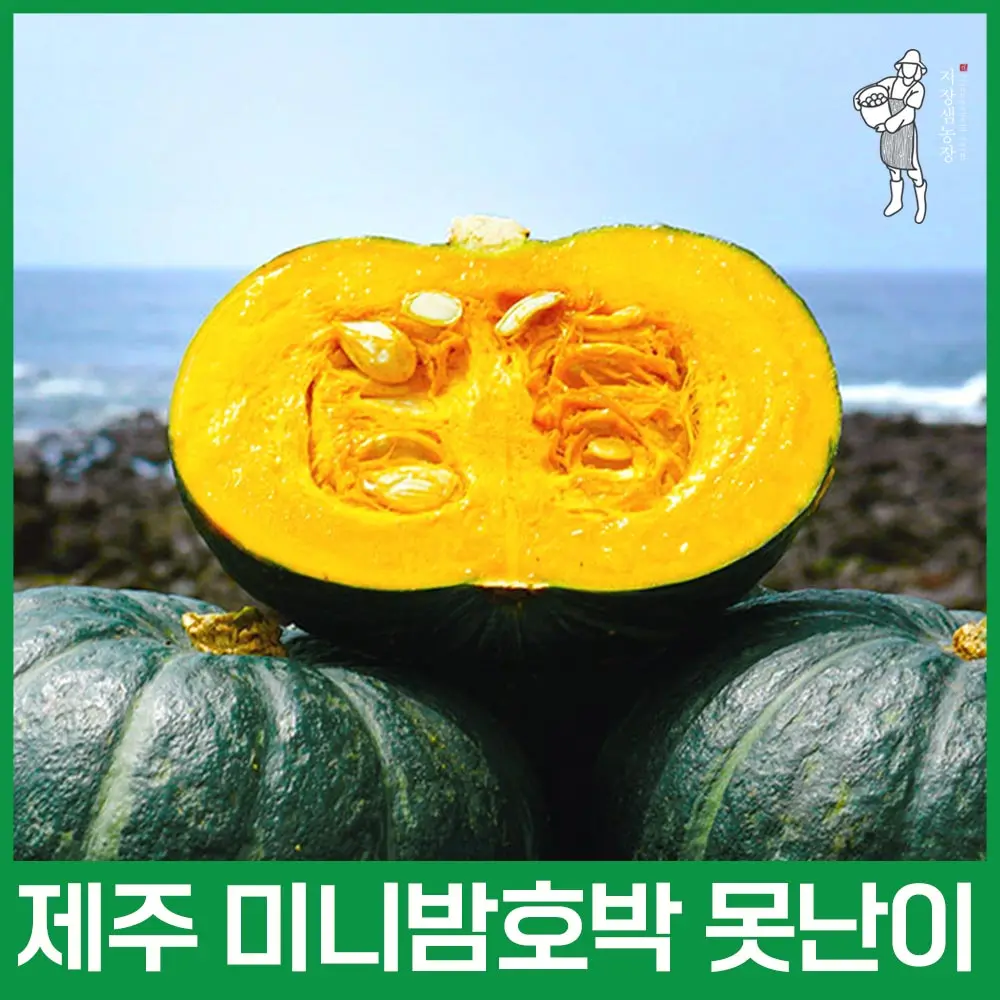 포슬포슬 노지 감자 3kg/5kg(중/대/특) 