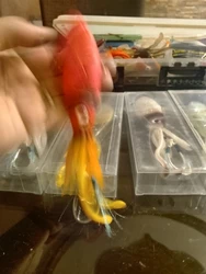Imagen de reseña 3
