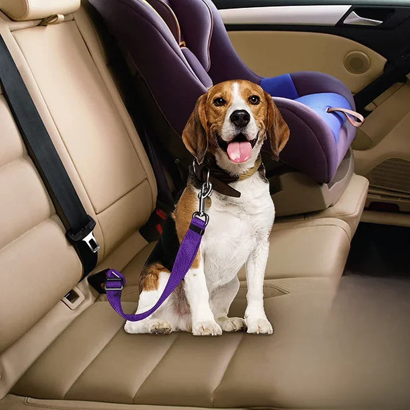 Ceinture de sécurité de voiture pour chien et chat, Clip de voyage de sécurité réglable, corde de Traction élastique réfléchissante, bouledogue français, accessoires pour chiens, fournitures