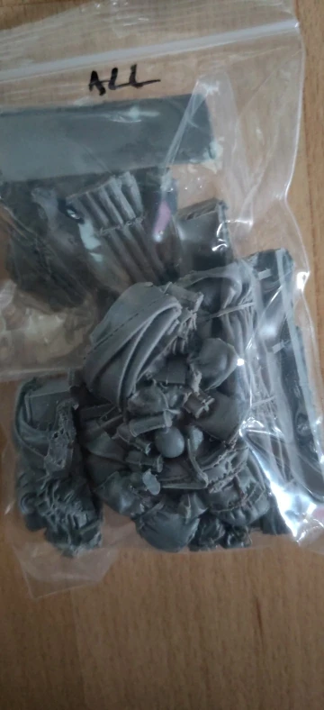 Buyer photo of this resin kit