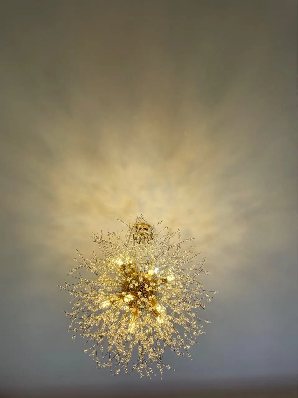Modern Style Frosted Flower Chandelier
