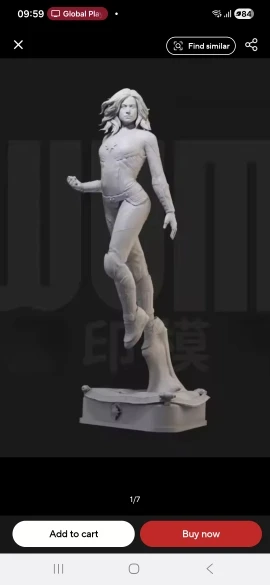 Buyer photo of this resin kit