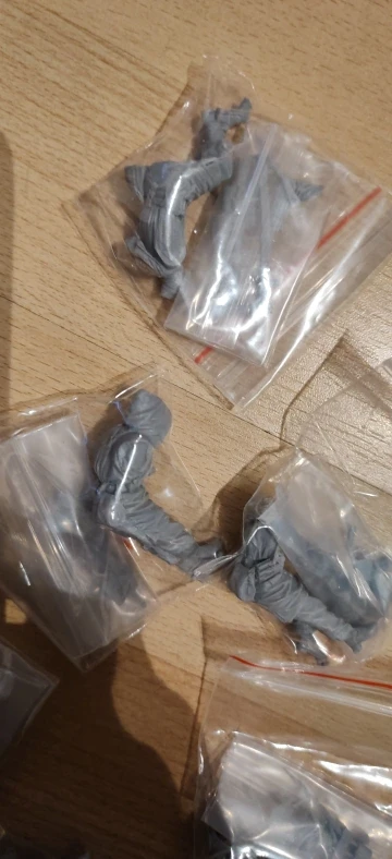Buyer photo of this resin kit