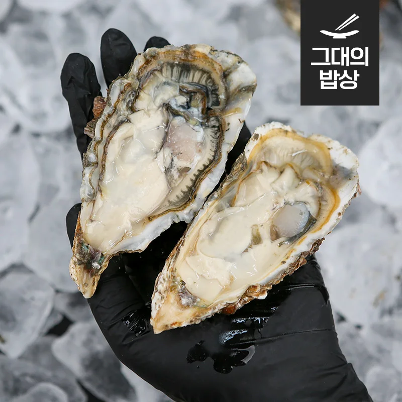 Tongyoung Seokhwa Petrochemical raw Oyster live oyster Tunnel Cave (Gangular Oyster)