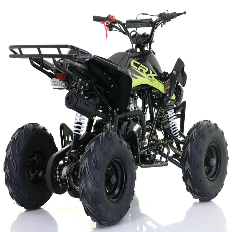 DR NEUES 110cc ATV Quad Bike ATV für SCHNEE