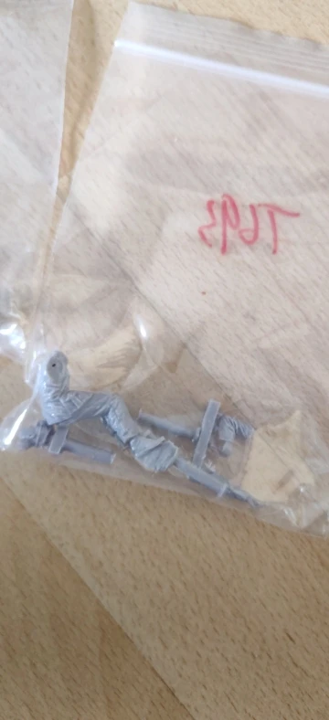 Buyer photo of this resin kit