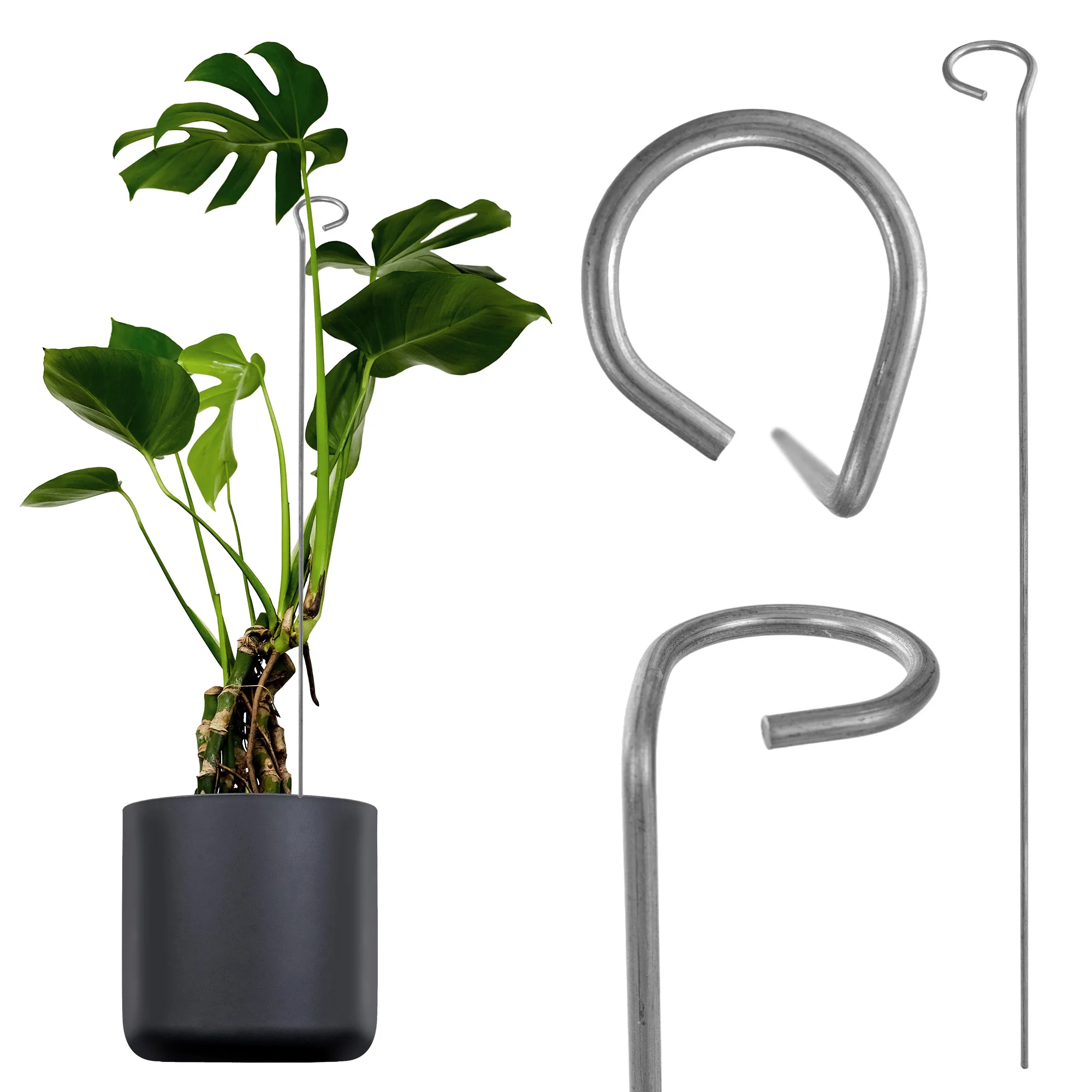 Kadax Plantensteun Rozenbloem Metaal Obejma Voor Bloemen Staan 60Cm Sterk