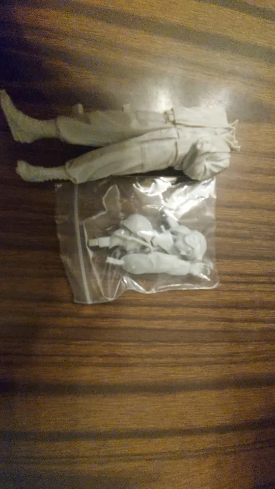 Buyer photo of this resin kit