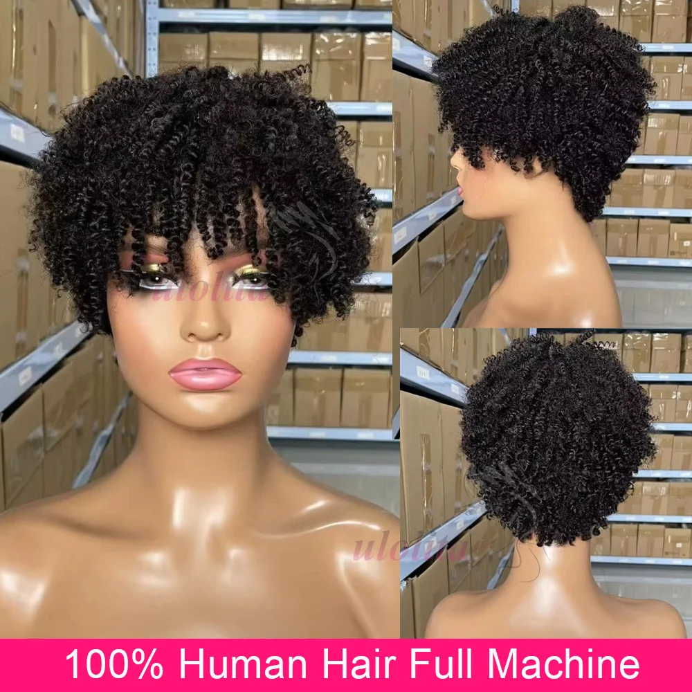 Mongolische Afro-Perücke, verworren, lockig, 100 % Echthaar, volle maschinelle Sprengkopf-Perücke, reines Haar, Perücke für schwarze Frauen, kurze saaay Pixiewig