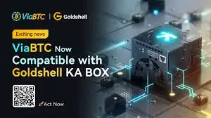 

BR Goldshell KA box-1,18 TH/s-OneMiners-крипто-Майнинг