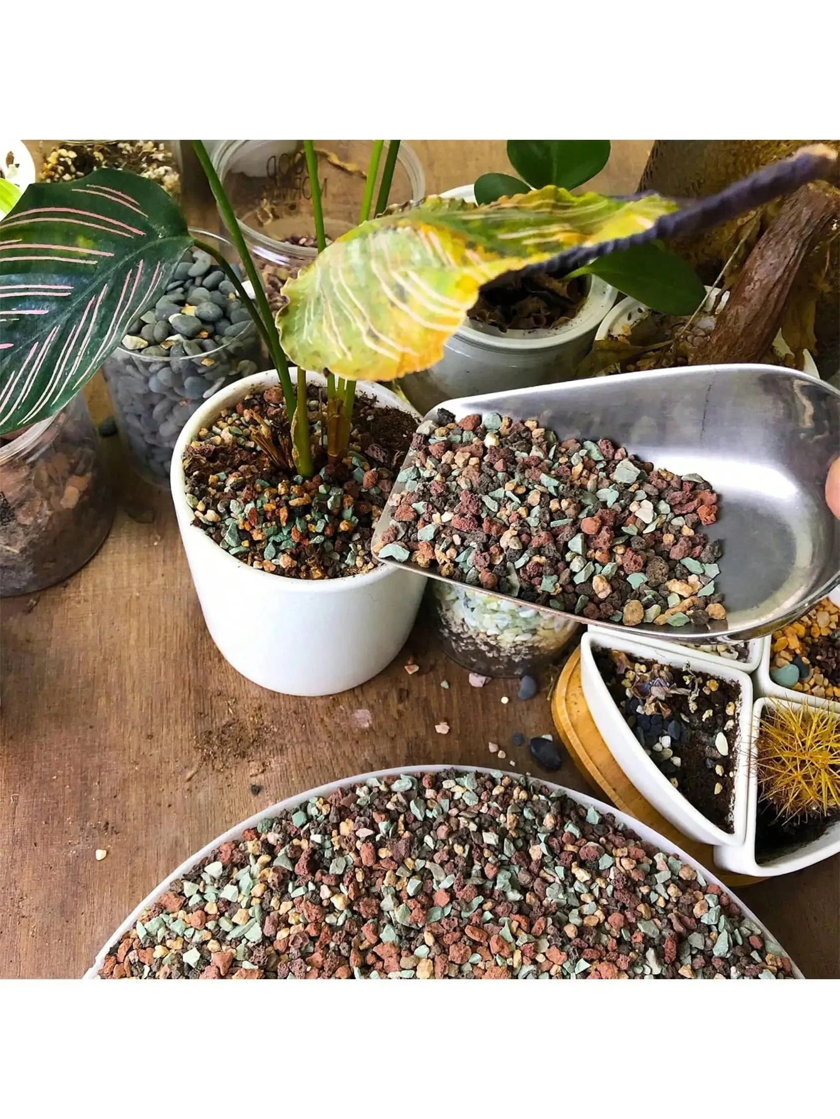 AliExpress NONE Mix Horticultural Lava Rock Pebbles Pumice Potting Soil Amendment Succulent Cactus Bonsai Gritty Rock Decorative Gravel Plant Dr