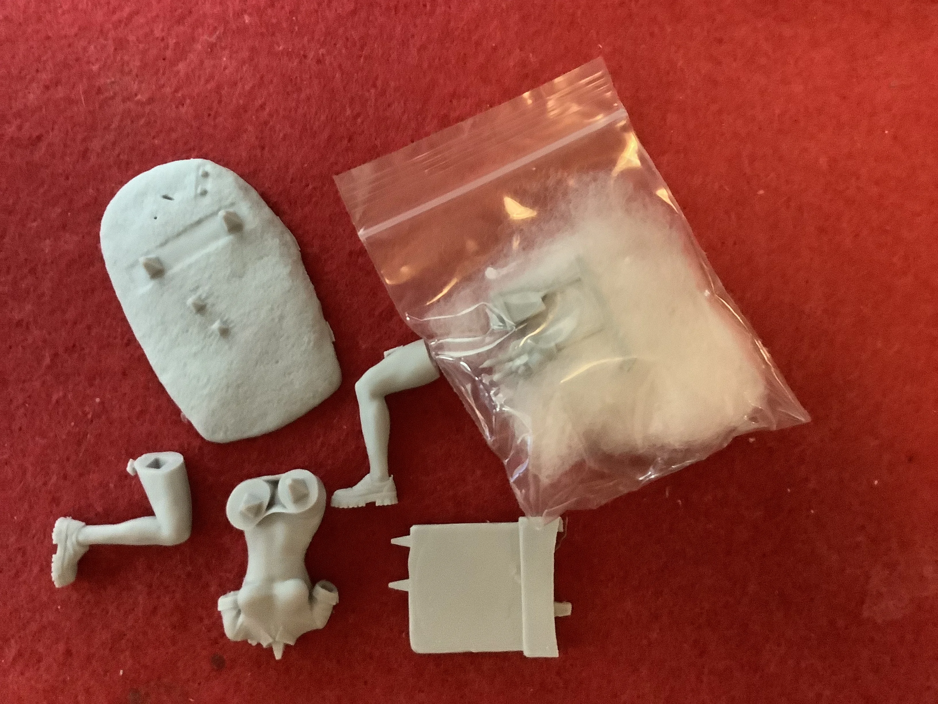 Buyer photo of this resin kit