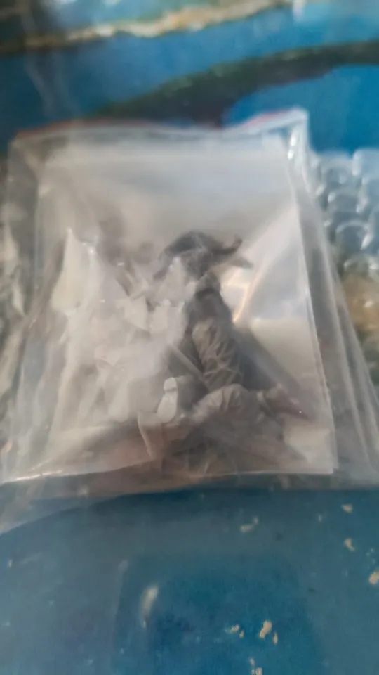 Buyer photo of this resin kit