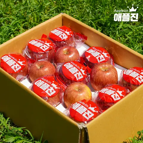애플진 경북 산지직송 햇사과 껍질째먹는 세척사과 2kg (10~12과) Applejin Washed Apple
