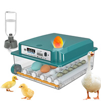 16 Egg Incubator with Automatic Egg Turning and Humidification 12V/220V Brooder Suitable for Chickens Ducks Geese Pigeons Quails