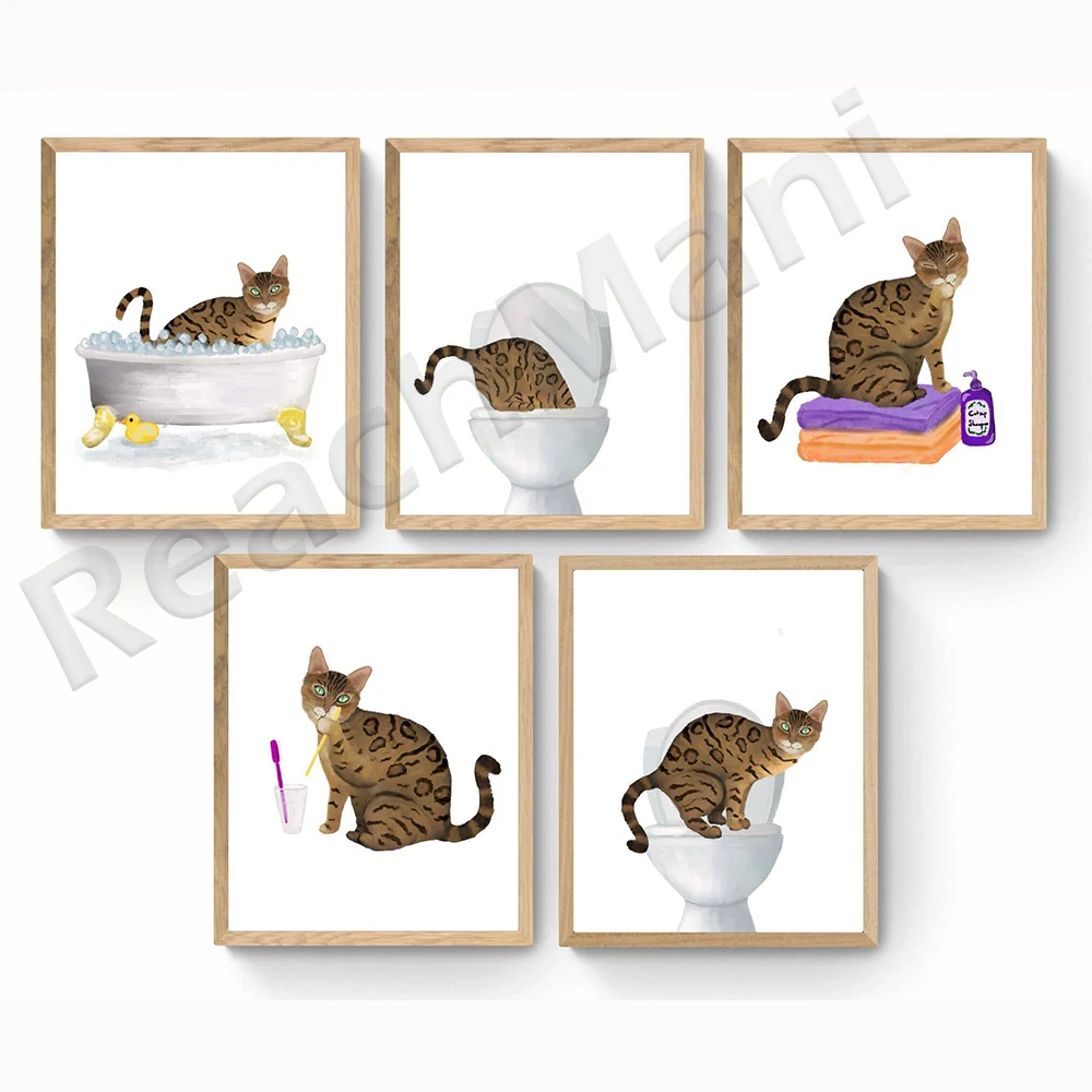 Gato escocés, gato siamés, Gato tabby, Gato de Bengala dorado, Gato gris, gato en el inodoro, Gato relajante en la bañera, póster para amantes de los gatos