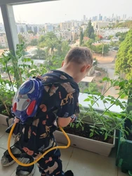 Imagen de reseña 3