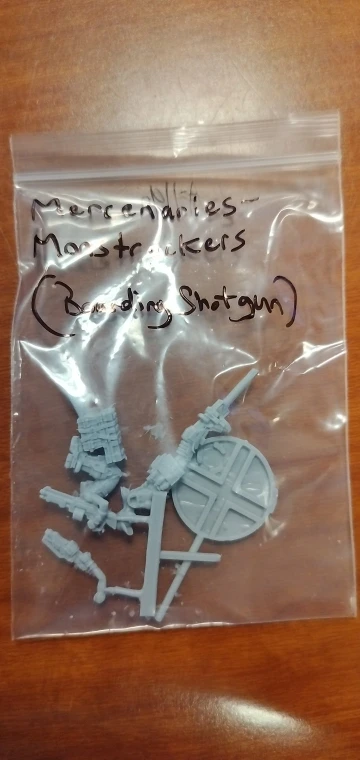 Buyer photo of this resin kit