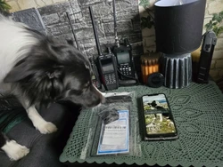 Imagen de reseña 3