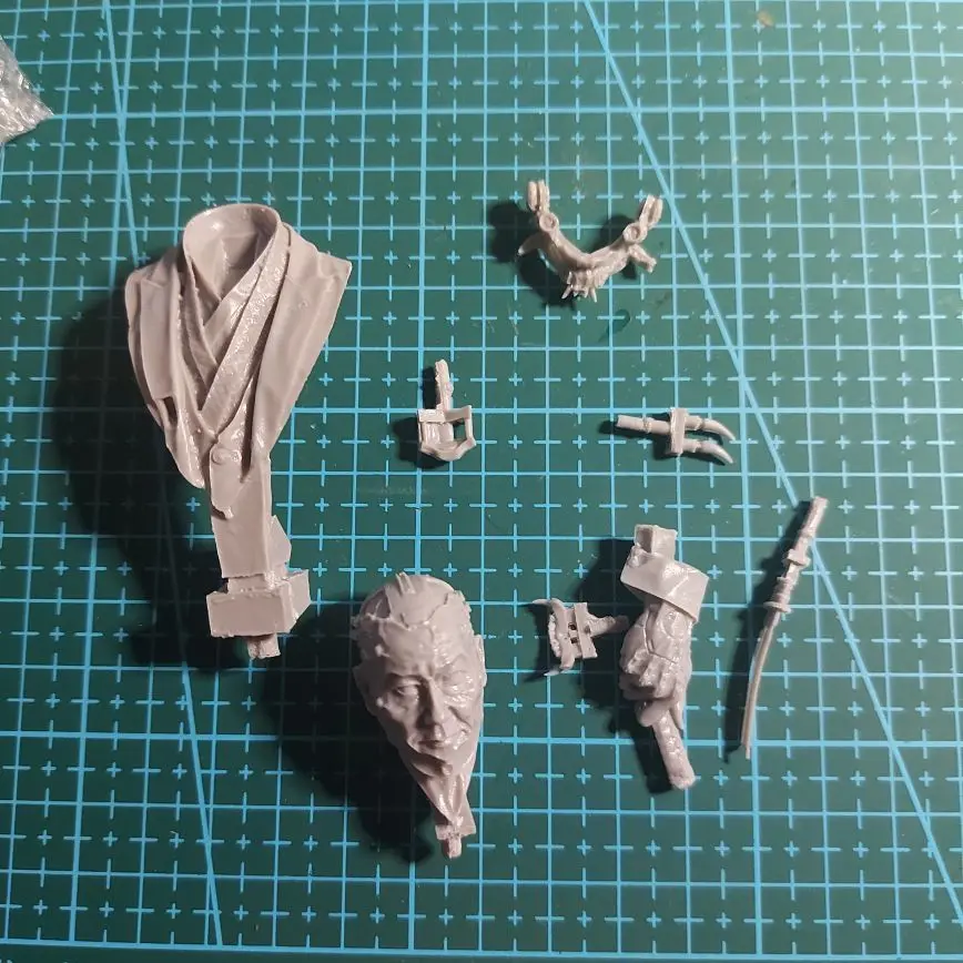 Buyer photo of this resin kit