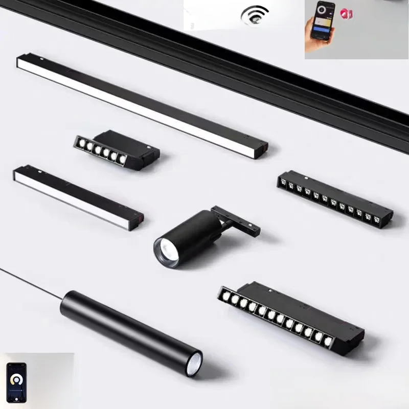 2.0 type Smart Magnetisch Track Light Tuya Zigbee 3.0 DC48V LED Downlight Spot Flood Grille Lampen Modern Home Woonkamer Zwart ﻿ - afbeelding 2
