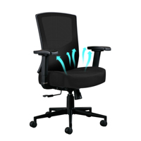 Ergonomic Office Chair 200KG, High Back Desk Chair with 2D Adjustable Lumbar Support, Mesh Computer Chair with Rocking Function