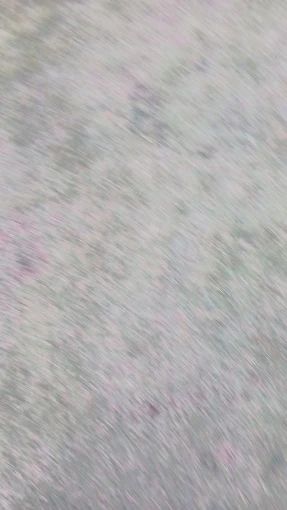 실물 포토 리뷰