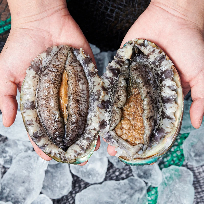 Wando abalone gift set