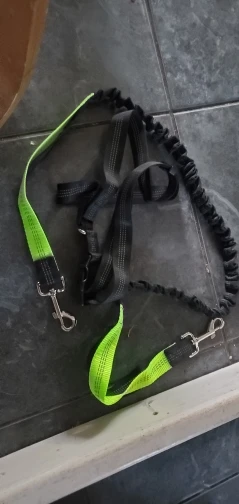 Customer review photo for Hands-Free Bungee Dog Leash with Adjustable Waist Belt