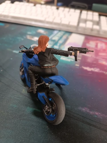 Buyer photo of this resin kit