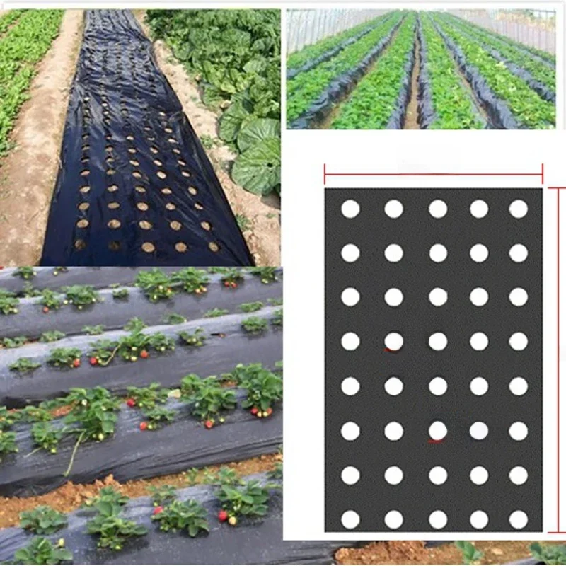 5 otworów 0.95*50m 0.02mm czarny ogród szklarnia warzywa membrana rośliny rolnicze ściółka siew plastikowa perforowana folia PE — zdjęcie 2