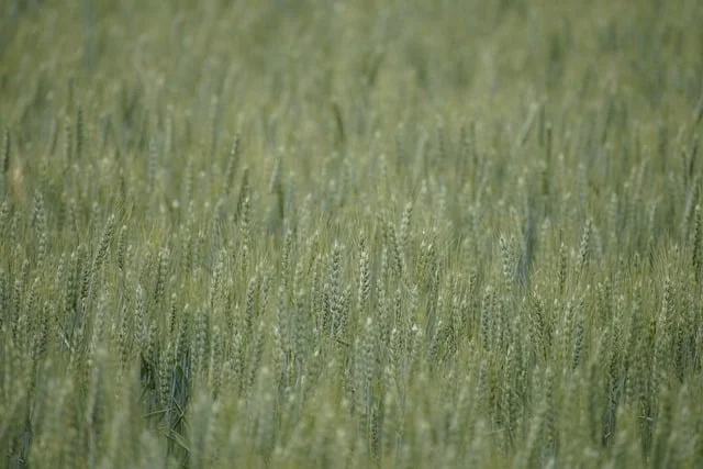 

6 in 1 skin cleaner machine vacuum black head remove water bubble facial deep cleaning machine