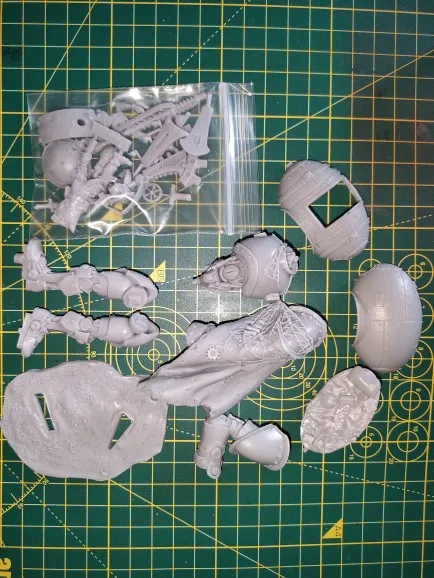 Buyer photo of this resin kit