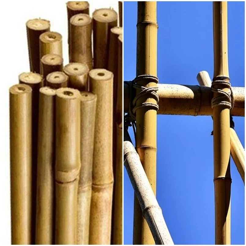 10 units. Bamboo cane tutor, plant entutoring. 120 Cm