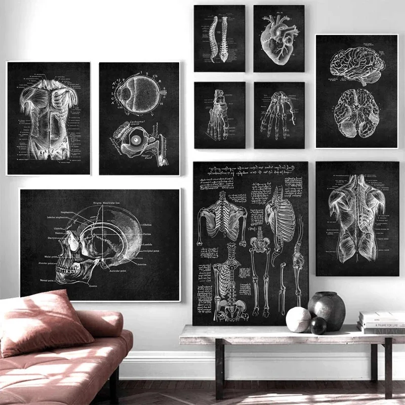 

1Pcs Decoration Home Decor Interior Canvas Painting Medicine Human Anatomy Posters for Wall Decororation Muscle Tissue Skeleton