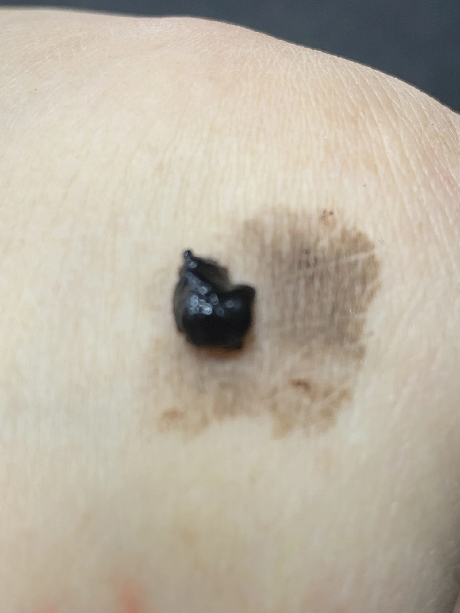Eyebrow Tattoo Tint photo review