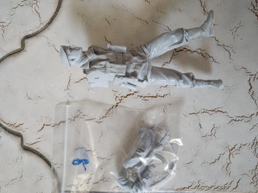 Buyer photo of this resin kit