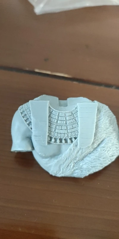 Buyer photo of this resin kit