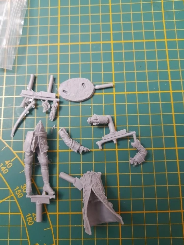 Buyer photo of this resin kit