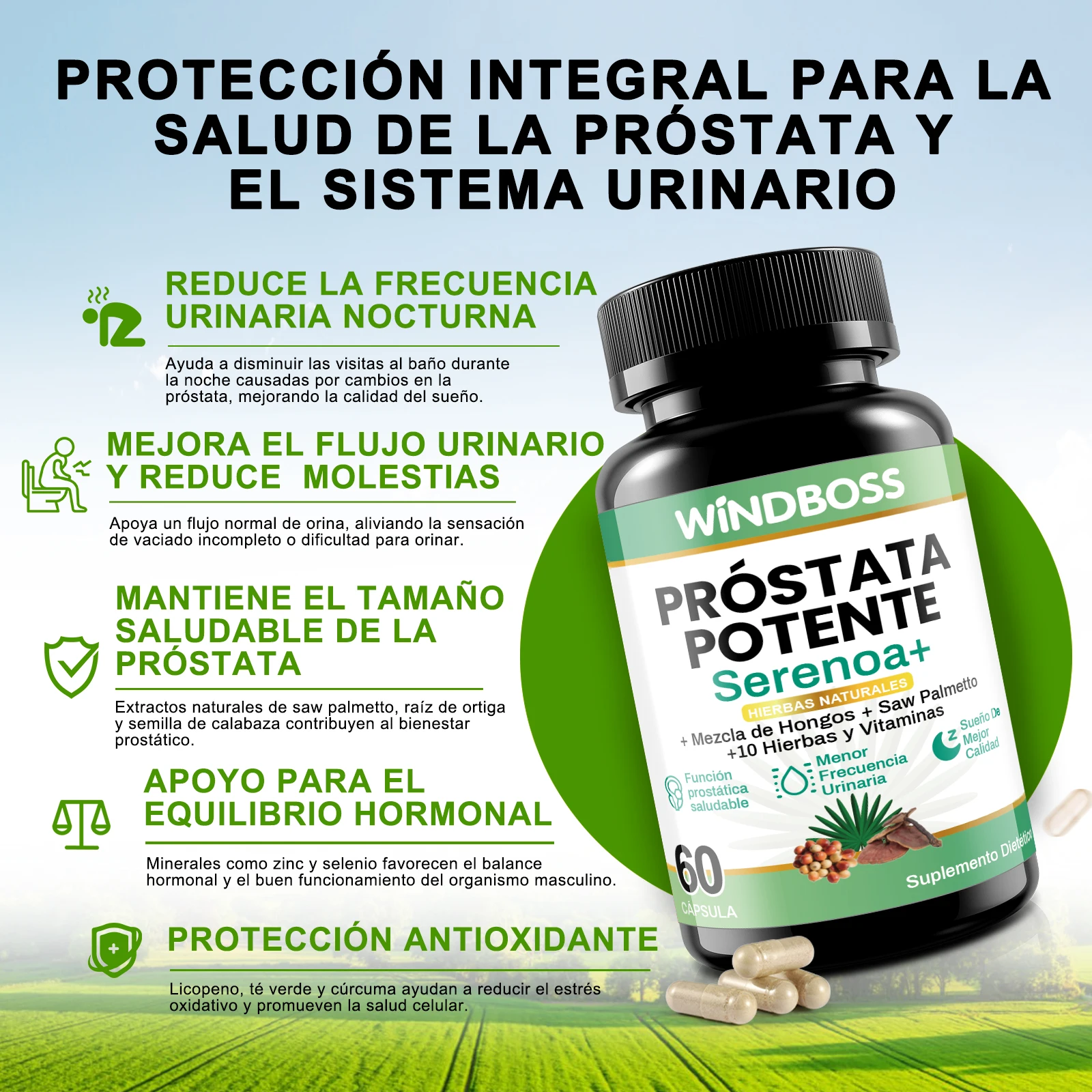 مكمل Windboss للرجال - دعم البروستاتا والدورة الدموية - مستخلصات طبيعية، الأحماض الأمينية، المعادن - Saw Palmetto، L-Arginine، Maca، Zinc - عبوة من زجاجتين