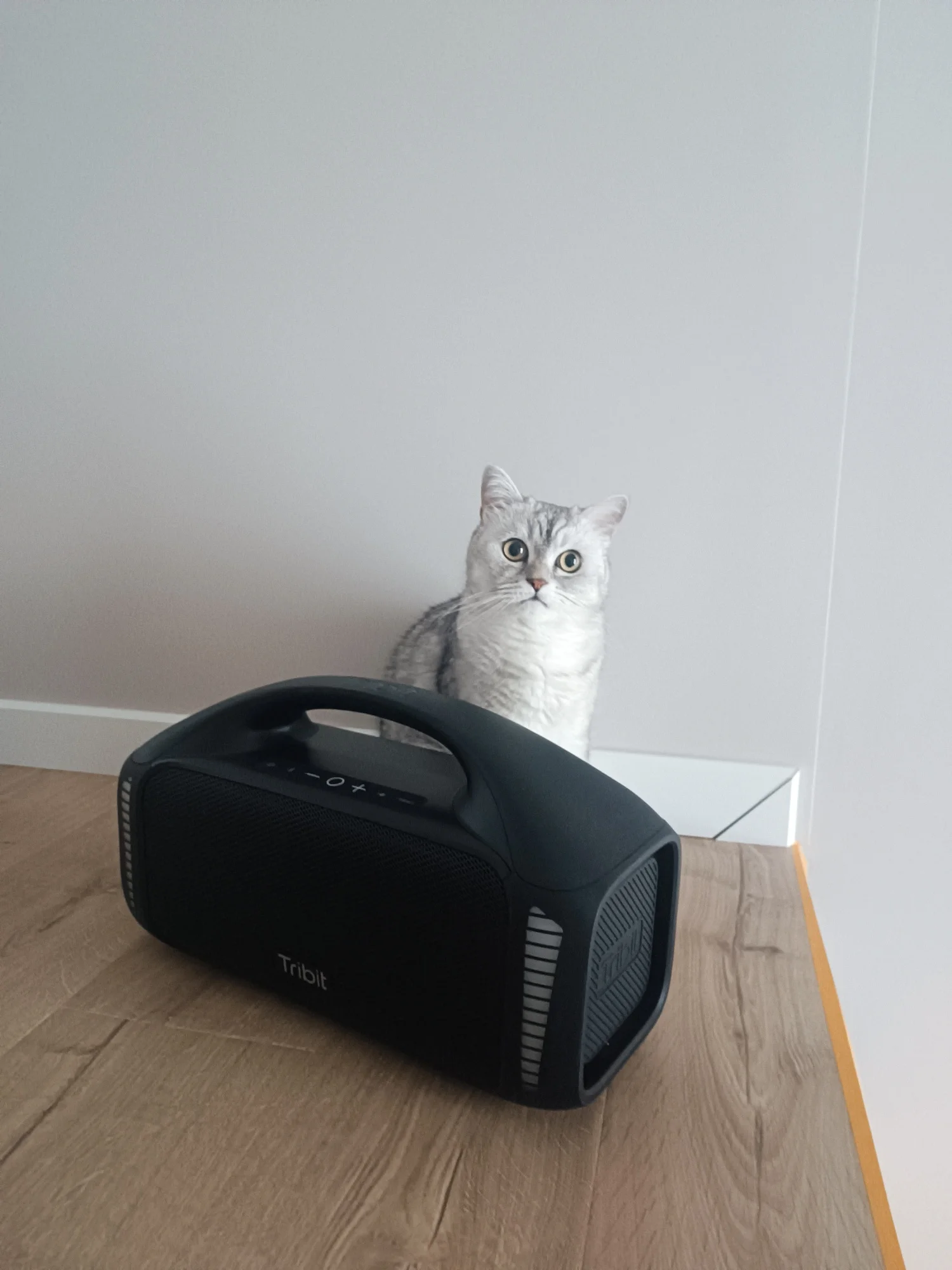 리뷰 사진